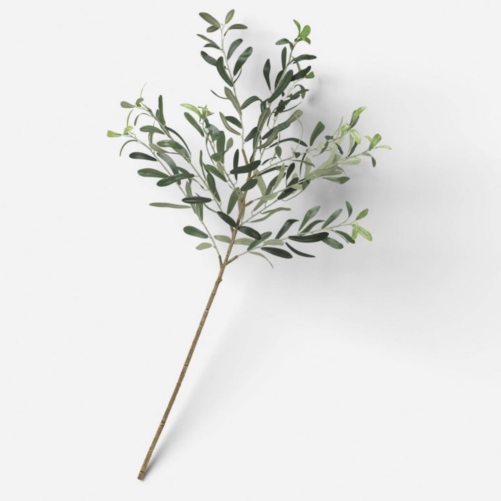 41.5” Olive Branch Threshold